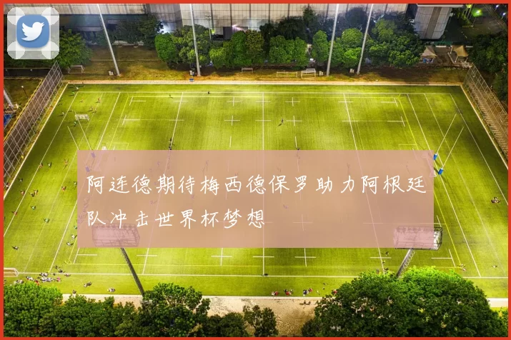 阿连德期待梅西德保罗助力阿根廷队冲击世界杯梦想