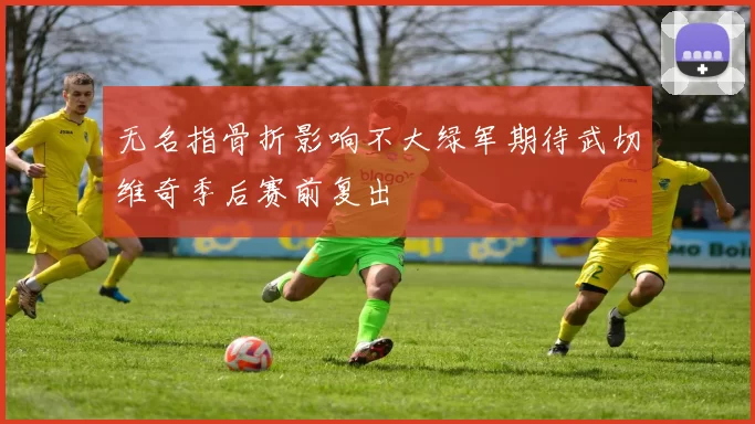 无名指骨折影响不大绿军期待武切维奇季后赛前复出
